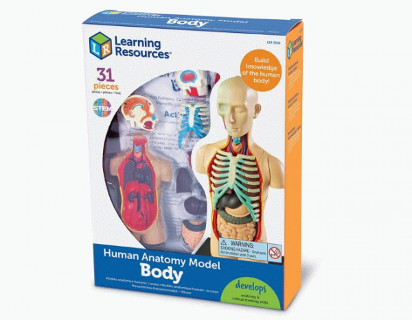 Anatomie du corps humain